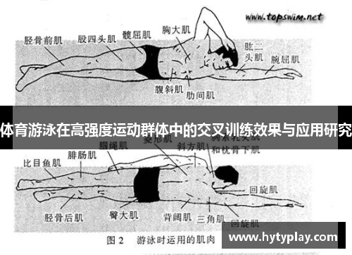 体育游泳在高强度运动群体中的交叉训练效果与应用研究